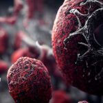 peste-negra-enfermedades-alienigenas