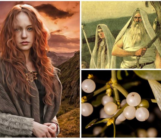 La planta más mágica de Europa