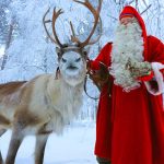 Todo lo que necesitas saber sobre los Renos de Papá Noel
