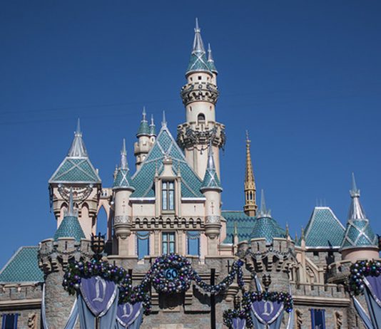 15 cosas raras que no están permitidas en Disneylandia 15 cosas raras que no están permitidas en Disneylandia