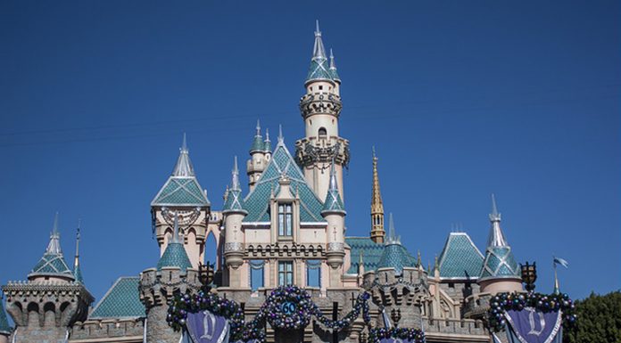 15 cosas raras que no están permitidas en Disneylandia