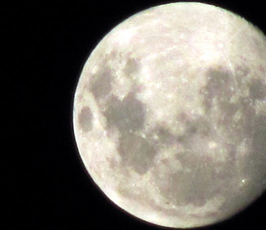 ¿Cuál es la edad de la luna? ¡Te lo contamos! Cuál es la edad de la luna