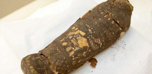 Esta momia de pájaro lo era hasta que... ¡sorpresa! Es un feto humano