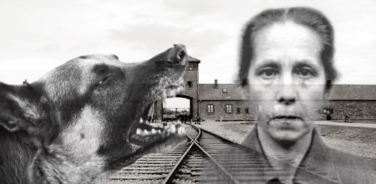 «La mujer de los perros», la sádica vigilante de Campo de Concentración nazi La mujer de los perros, la sádica vigilante de Campo de Concentración nazi