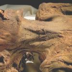 Príncipe Pentaur, El misterio de la escalofriante momia que grita