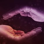 Misterios del cuerpo humano, mano dominante