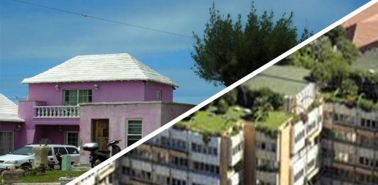 Descubre estas iniciativas de techos ecológicos, ¡increíbles para vivir mejor!