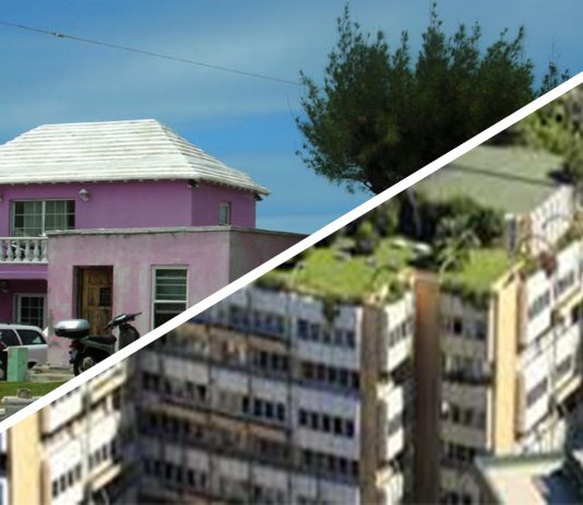 Descubre estas iniciativas de techos ecológicos, ¡increíbles para vivir mejor!