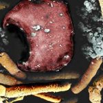 Vozrozhdeniya, uno de los lugares más peligrosos del mundo