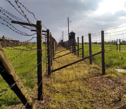 a historia del más impresionante escape de prisioneros bajo el régimen nazi