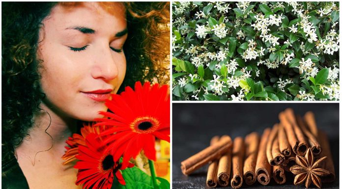 5 olores que te harán sentir mejor
