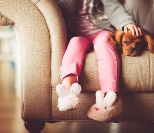 7 razones por las que los perros son las mejores mascotas 7 razones por las que los perros son las mejores mascotas