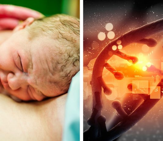 ¿De verdad practicar cesáreas ha afectado la «evolución» de nuestra especie? ¿De verdad practicar cesáreas ha afectado la "evolución" de nuestra especie?