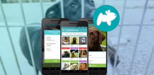 Miwuki: la app que te permite adoptar a tu mascota sin moverte de casa Miwuki: la app que te permite adoptar a tu mascota sin moverte de casa 1