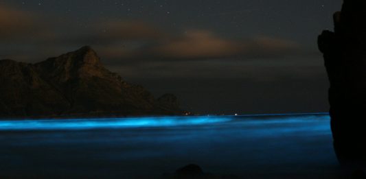 4 playas del mundo con aguas que se iluminan en la oscuridad 4 playas del mundo con aguas que se iluminan en la oscuridad