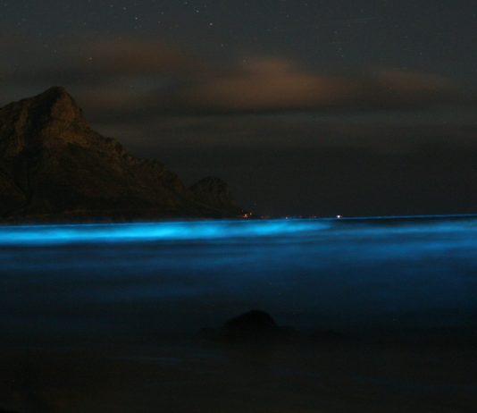 4 playas del mundo con aguas que se iluminan en la oscuridad