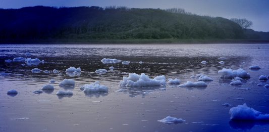 5 estadísticas alarmantes sobre el calentamiento global