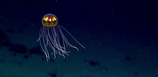 Ni los abismos del océano se han savado de la contaminación