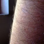 Curiosidades sobre el pelo que quizá no sabías