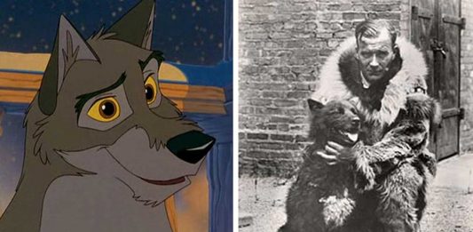 ¿Recuerdas a Balto? ¡Fue real! La verdadera historia de Balto