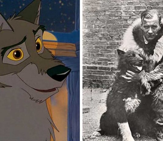 ¿Recuerdas a Balto? ¡Fue real! La verdadera historia de Balto ¿Recuerdas a Balto? ¡Fue real! La verdadera historia de Balto