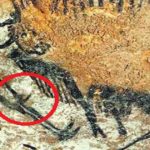 hombre de las cavernas condón