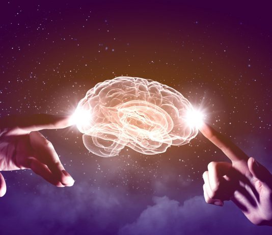 12 Misterios del Cerebro Humano