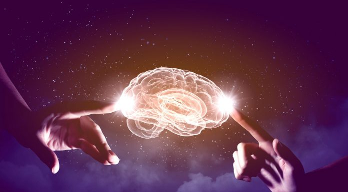 12 Misterios del Cerebro Humano