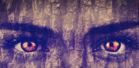 ¿Que si las plantas pueden ver...? Nuevas evidencias que te sorprenderán