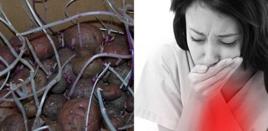 ¿Es posible intoxicarse por comer patatas verdes o germinadas?
