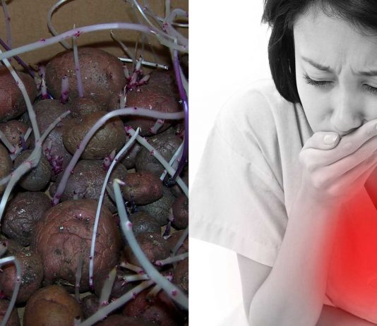 ¿Es posible intoxicarse por comer patatas verdes o germinadas?
