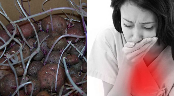 ¿Es posible intoxicarse por comer patatas verdes o germinadas?
