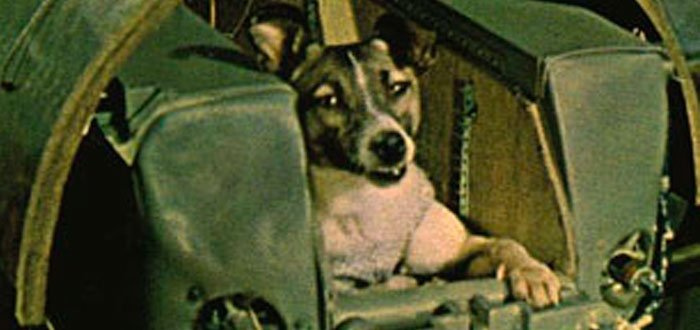 5 cosas DRAMÁTICAS que NO nos contaron sobre Laika, el primer perro en el espacio