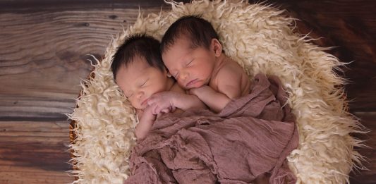 5 curiosidades sobre los gemelos que debes saber