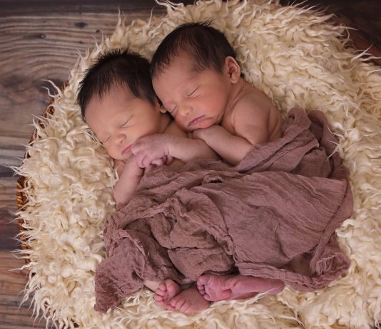 5 curiosidades sobre los gemelos que debes saber