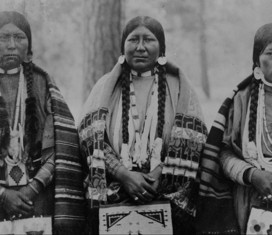 Los 5 géneros aceptados por los nativos americanos antes de la colonización 5 géneros aceptados por los nativos americanos