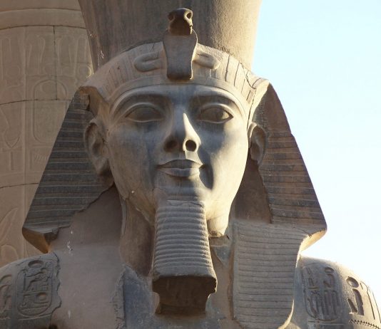 Arqueólogos hallan un gigantesco y antiguo busto escondido entre el lodo en Egipto 1