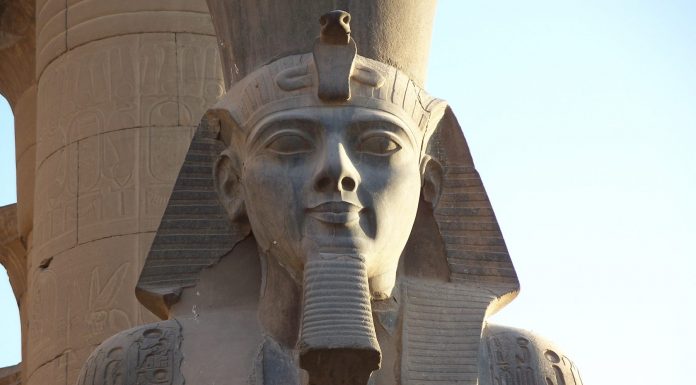 Arqueólogos hallan un gigantesco y antiguo busto escondido entre el lodo en Egipto 1