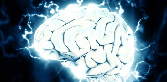 El proyecto de Elon Musk que busca fusionar el cerebro humano con Inteligencia Artificial El proyecto de Elon Musk que busca fusionar el cerebro humano con Inteligencia Artificial (2)