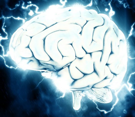 El proyecto de Elon Musk que busca fusionar el cerebro humano con Inteligencia Artificial El proyecto de Elon Musk que busca fusionar el cerebro humano con Inteligencia Artificial (2)