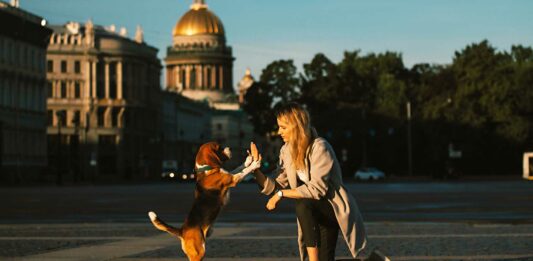 beneficios de pasear a tu perro
