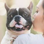 ¿Pueden los perros mentirnos o engañarnos?