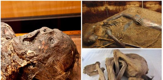 ¿Por qué algunos cadáveres no se descomponen? La ciencia lo explica