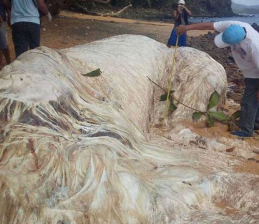 los cuerpos que han aparecido en las playas de filipinas y que han impactado al mundo 1