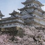 curiosidades-de-la-cultura-japonesa