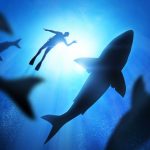 Algunas curiosidades sobre los tiburones que posiblemente no sabías