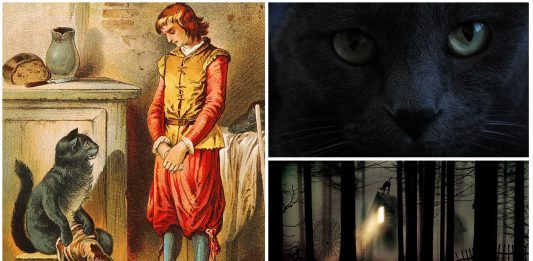 El Gato con Botas, ¿era el Espíritu Familiar de un brujo? El Gato con Botas, ¿era el Espíritu Familiar de un brujo?