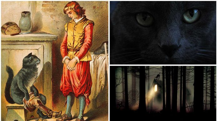 El Gato con Botas, ¿era el Espíritu Familiar de un brujo?