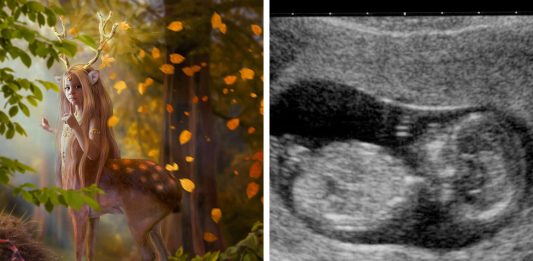 Híbridos de humanos y animales, ¿por qué nos aterrorizan tanto? Híbridos de humanos y animales, ¿por qué nos aterrorizan tanto?