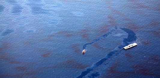 la brillante forma de limpiar derrames de petróleo en la que trabajan los científicos 1